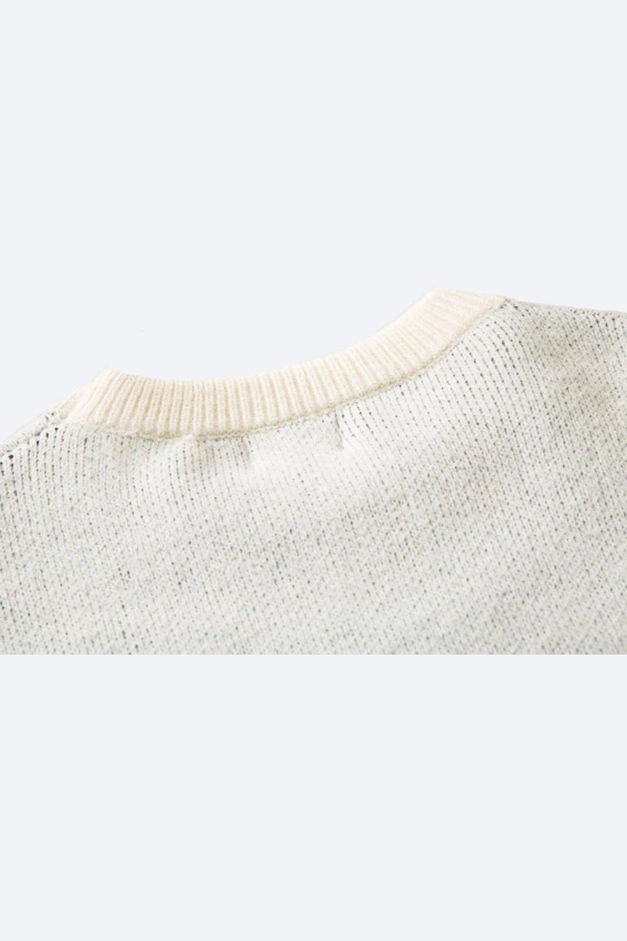 Aandreilee | Pullover für Männer mit Hundedruck